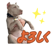843144108