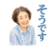 843144147