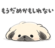 843144258