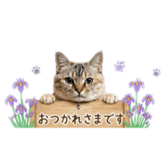 843144276