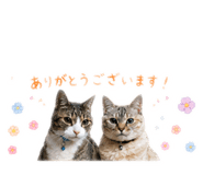 843144281