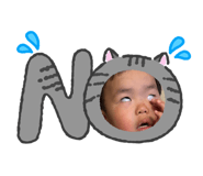 843144294