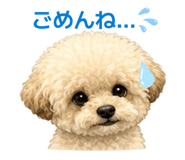 843144330