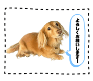 843144525
