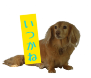 843144531