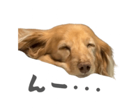843144538