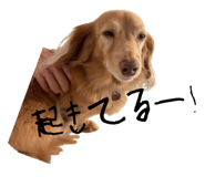 843144539
