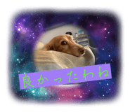 843144543