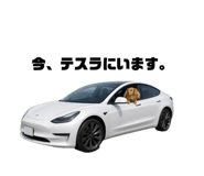 843144545