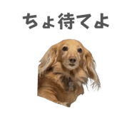 843144546