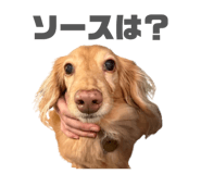 843144549