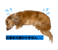 843144550