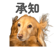 843144556