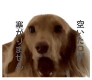 843144557