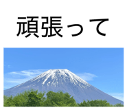 843144616
