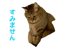 843144650