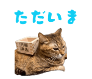 843144657
