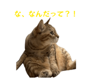 843144658