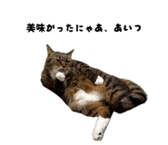 843144659