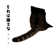 843144661