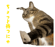 843144662