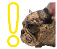 843144788