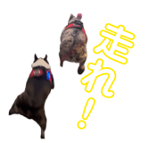 843144794