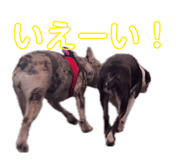 843144799