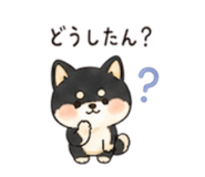 843144923