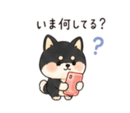 843144934