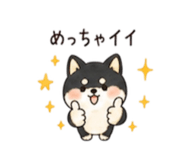 843144937