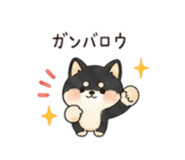 843144942