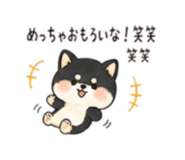 843144946