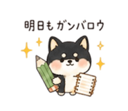 843144955