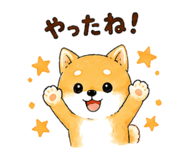 843145187