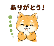 843145204