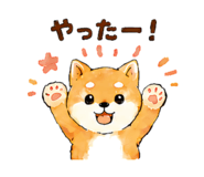 843145205