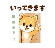 843145208