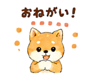 843145209