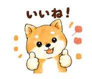 843145211