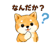 843145215