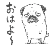 843145977
