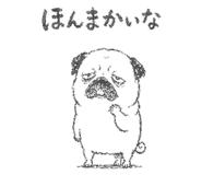 843145988