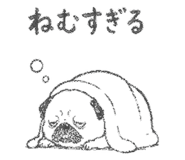 843145994