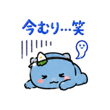 843146127