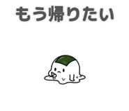 843146149