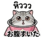 843146339