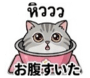 843146342