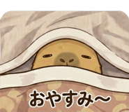 843146795