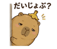 843146825